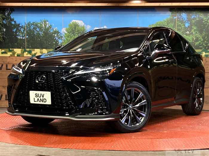 2024 Lexus NX