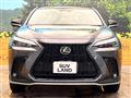 2025 Lexus NX