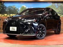 2022 Lexus NX