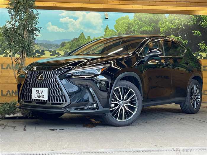 2023 Lexus NX