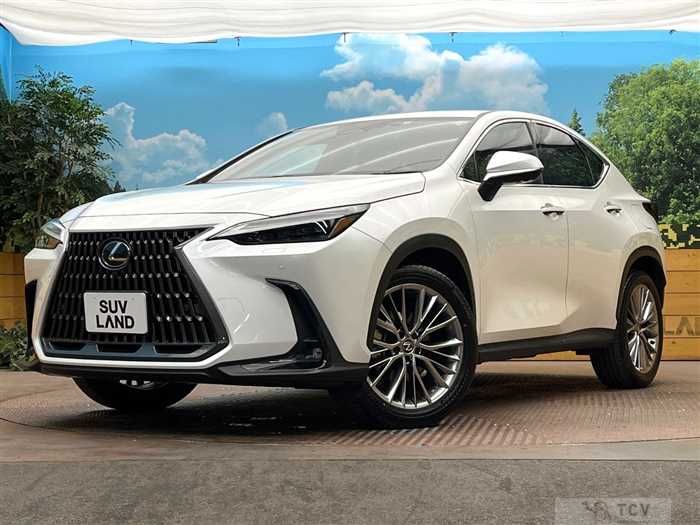 2023 Lexus NX