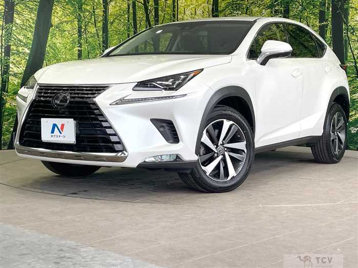 2017 Lexus NX
