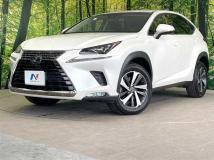 2017 Lexus NX