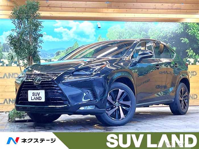 2020 Lexus NX