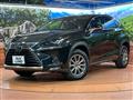 2021 Lexus NX