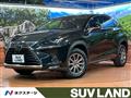 2021 Lexus NX