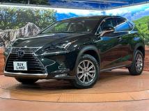 2021 Lexus NX