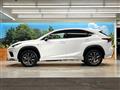 2019 Lexus NX
