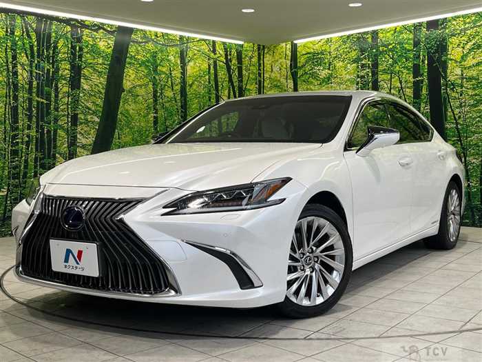 2019 Lexus ES