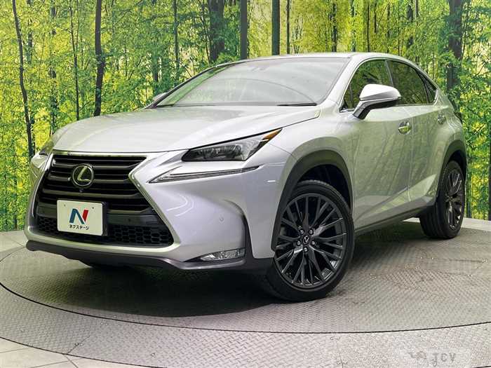 2016 Lexus NX
