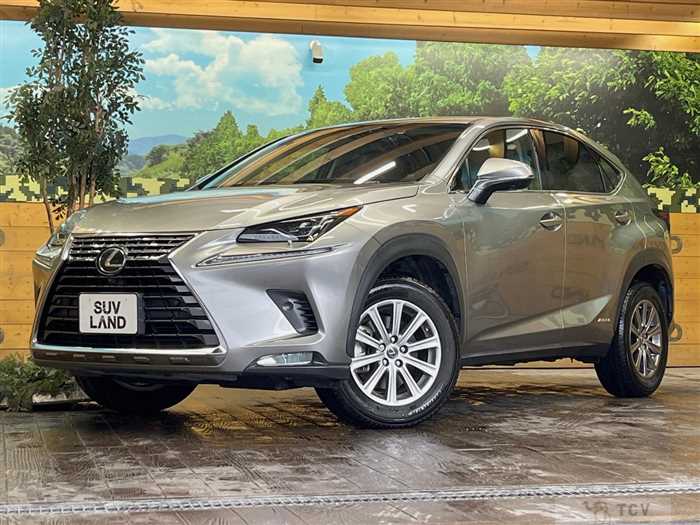2017 Lexus NX