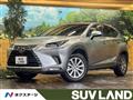 2017 Lexus NX
