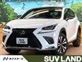 2019 Lexus NX