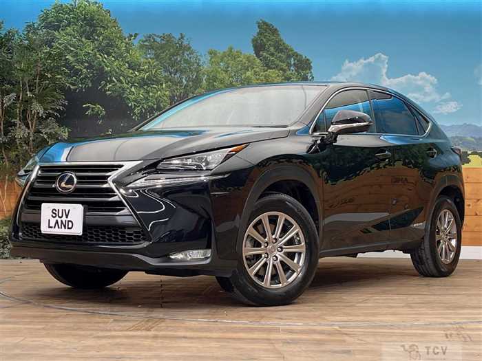 2014 Lexus NX