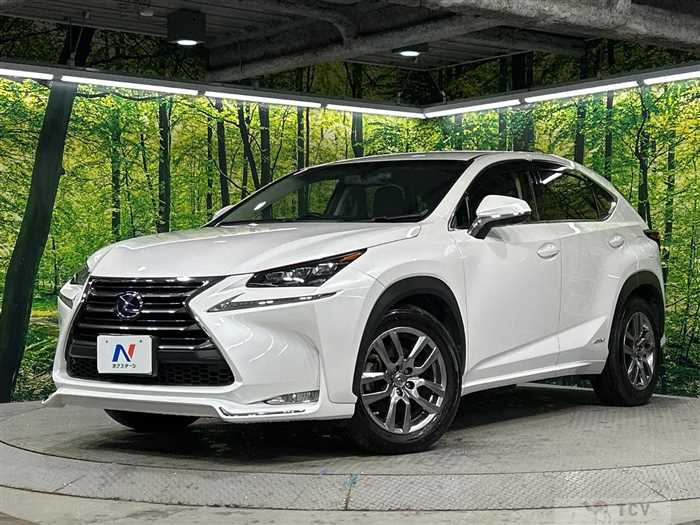 2015 Lexus NX