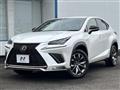 2020 Lexus NX