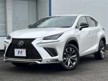 2020 Lexus NX