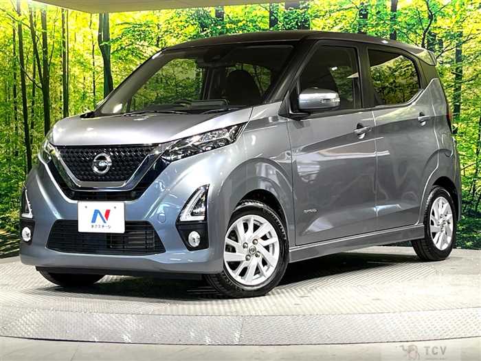2019 Nissan DAYZ
