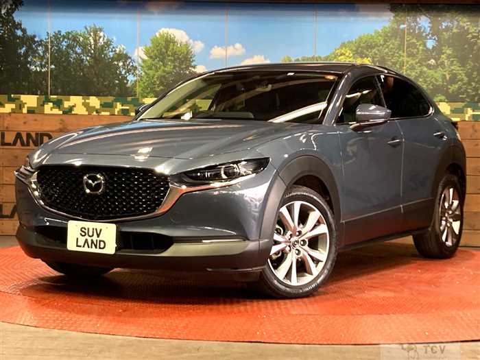 2023 Mazda Mazda Others