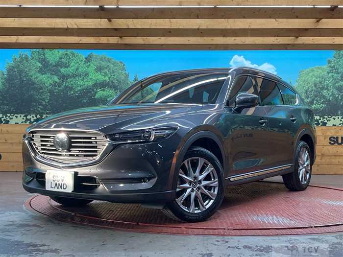 2018 Mazda CX-8