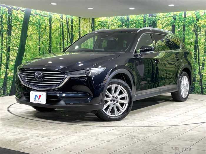 2018 Mazda CX-8