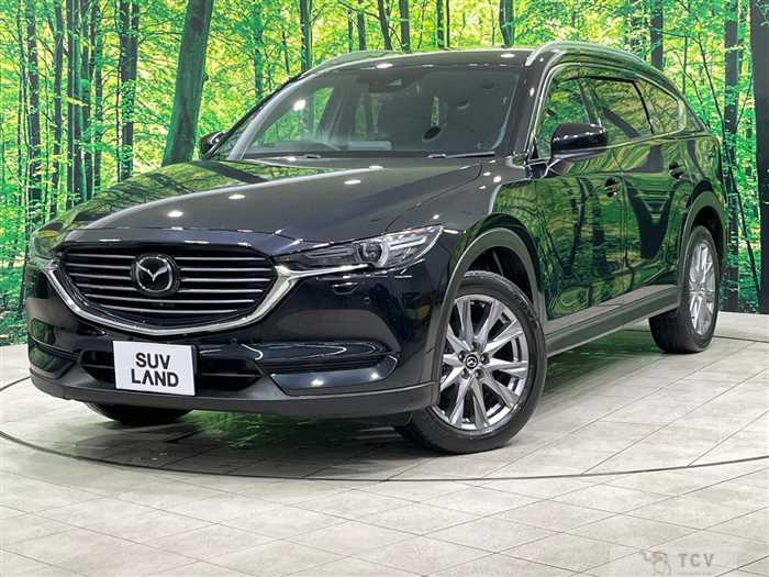2019 Mazda CX-8