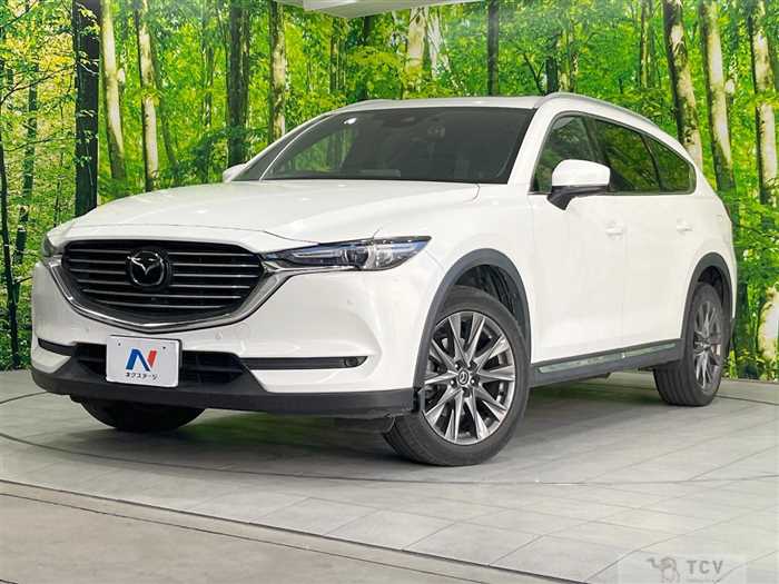 2019 Mazda CX-8