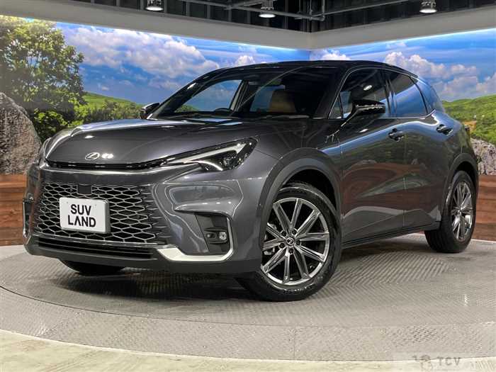 2024 Lexus Other