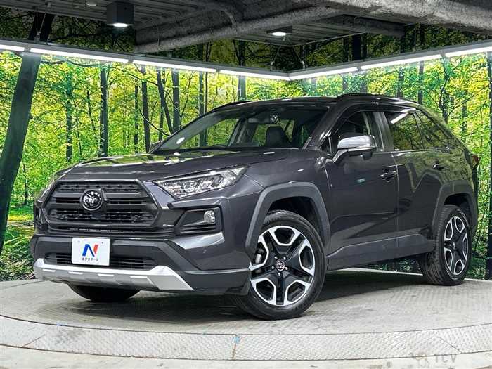 2019 Toyota RAV4