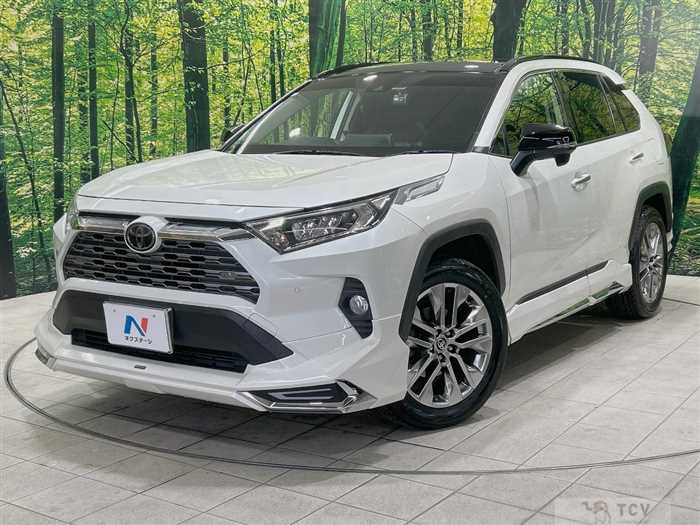 2019 Toyota RAV4