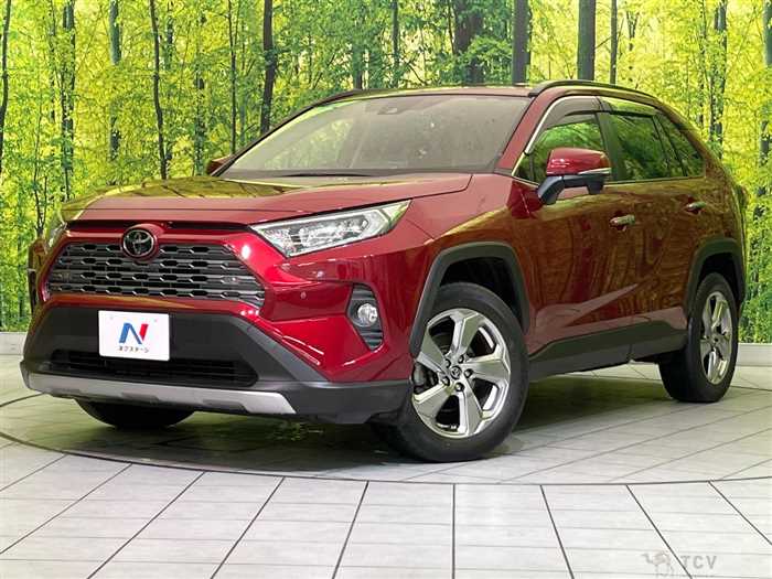 2019 Toyota RAV4