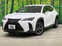 2020 Lexus Other
