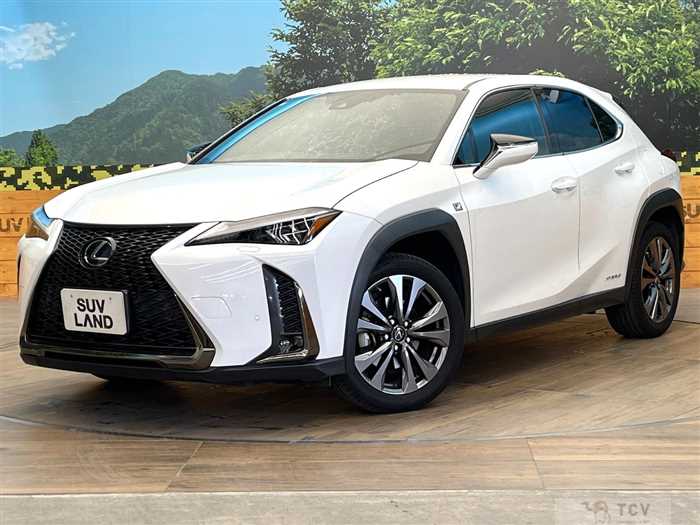 2021 Lexus Other