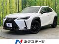 2021 Lexus Other