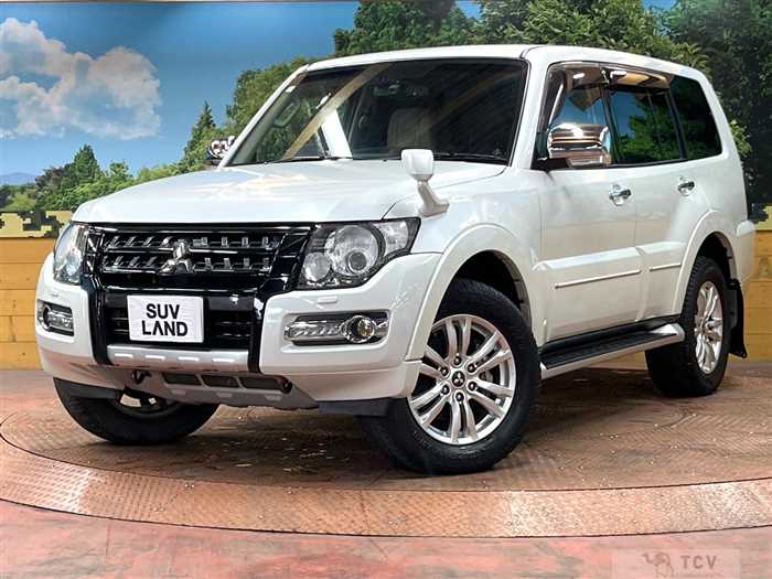 2015 Mitsubishi Pajero