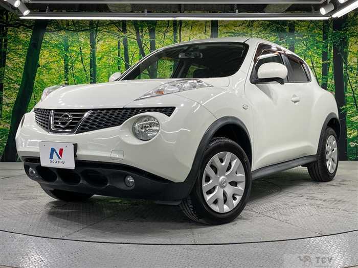 2010 Nissan Juke