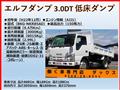 2010 Isuzu Isuzu Others