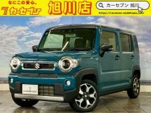 2020 Other All Other All