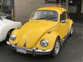 1996 Volkswagen Beetle