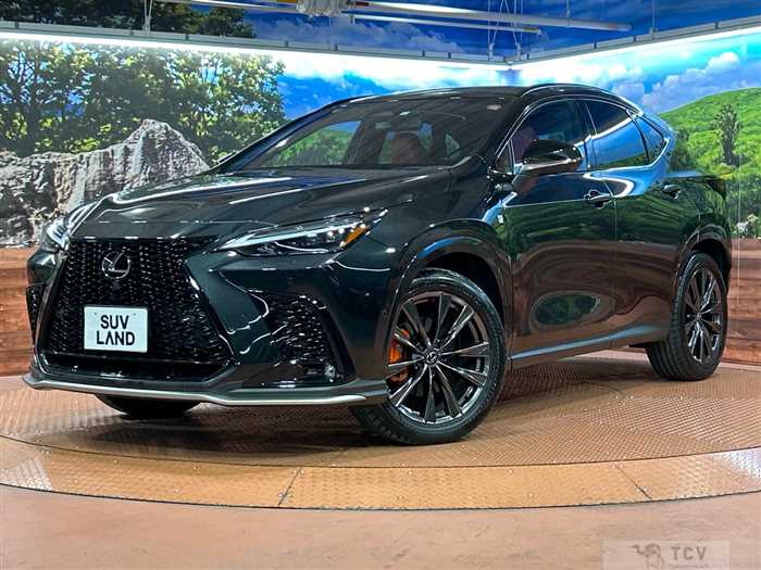 2023 Lexus NX