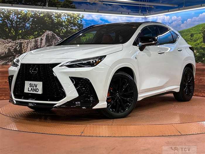 2023 Lexus NX