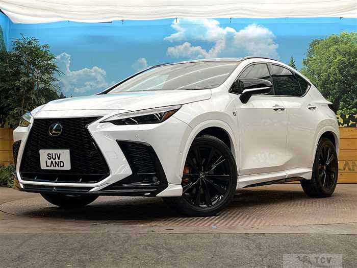 2022 Lexus NX