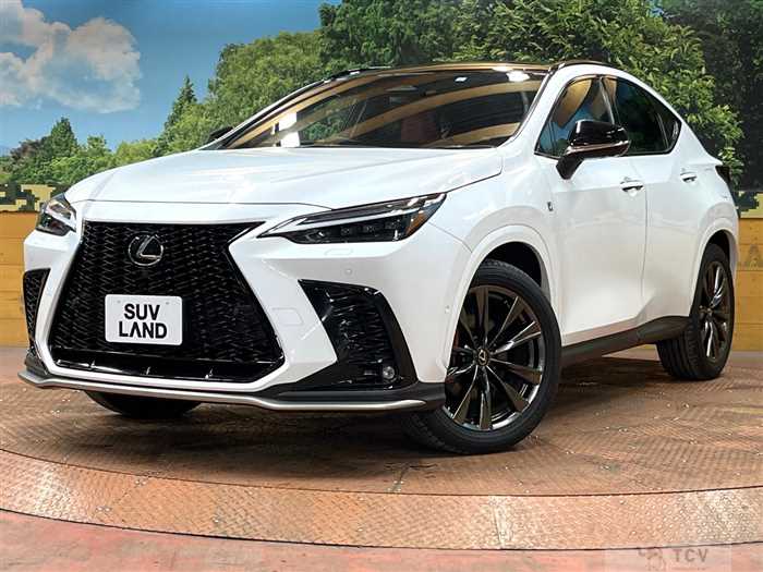 2023 Lexus NX