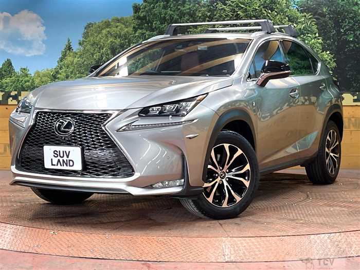2015 Lexus NX