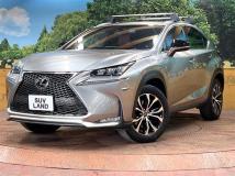 2015 Lexus NX