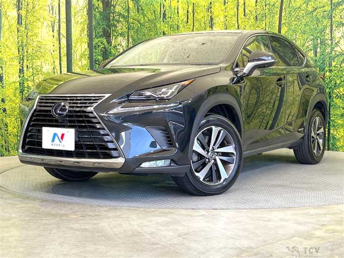 2017 Lexus NX