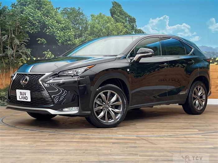 2014 Lexus NX
