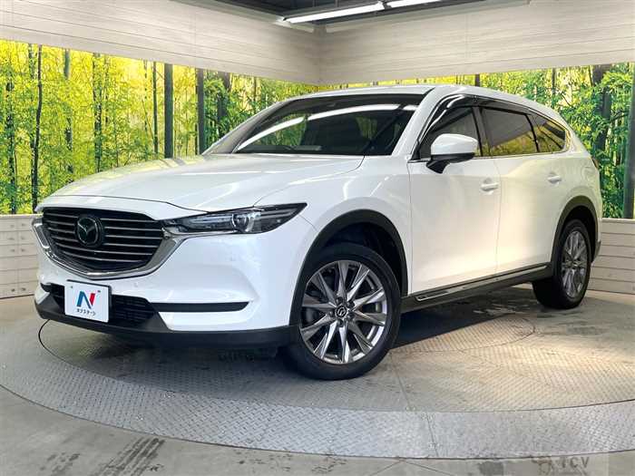 2019 Mazda CX-8