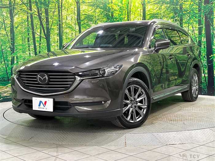 2019 Mazda CX-8