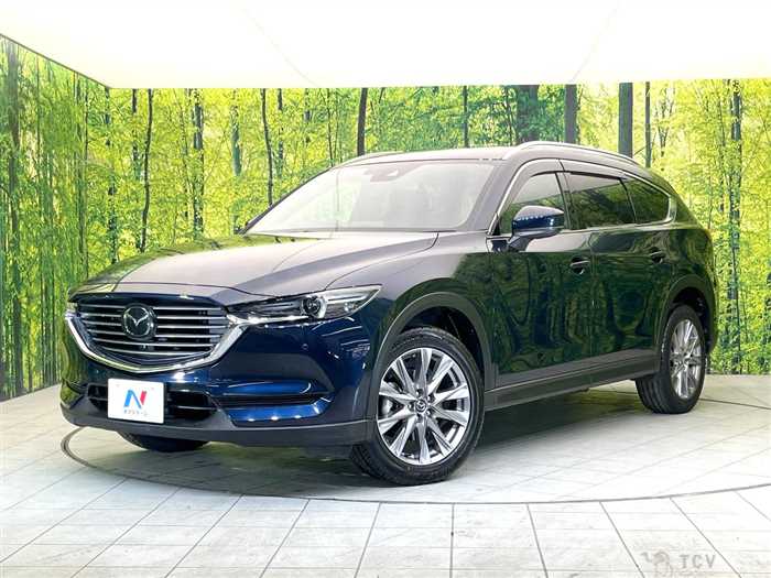 2019 Mazda CX-8